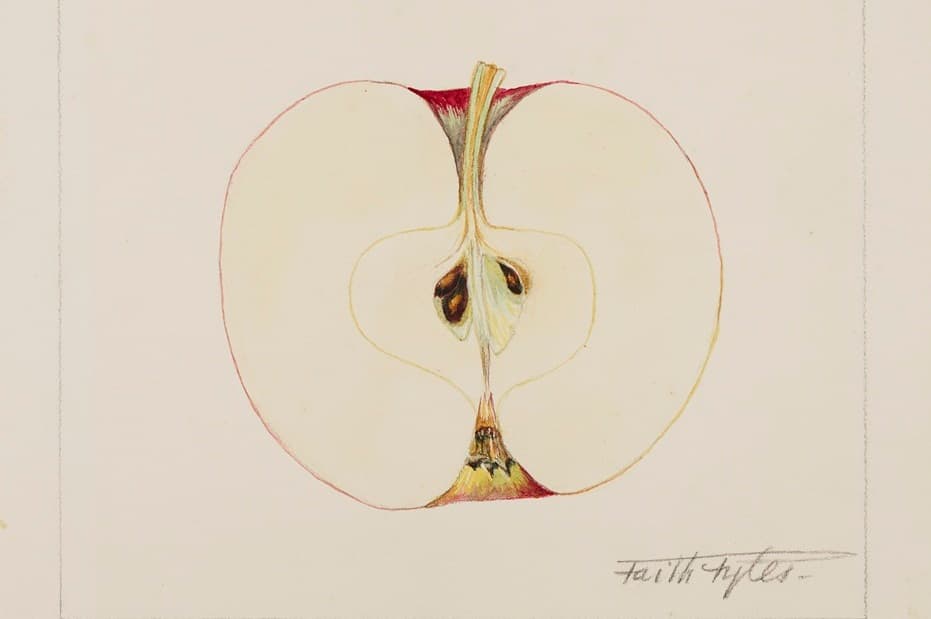 Faith Fyles: In Full Bloom