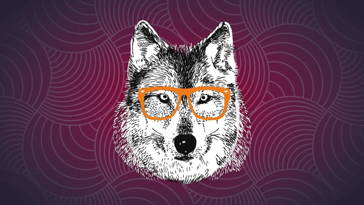 WolfGANG Sessions #28