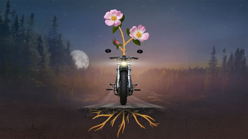 Rose - World Premiere Musical