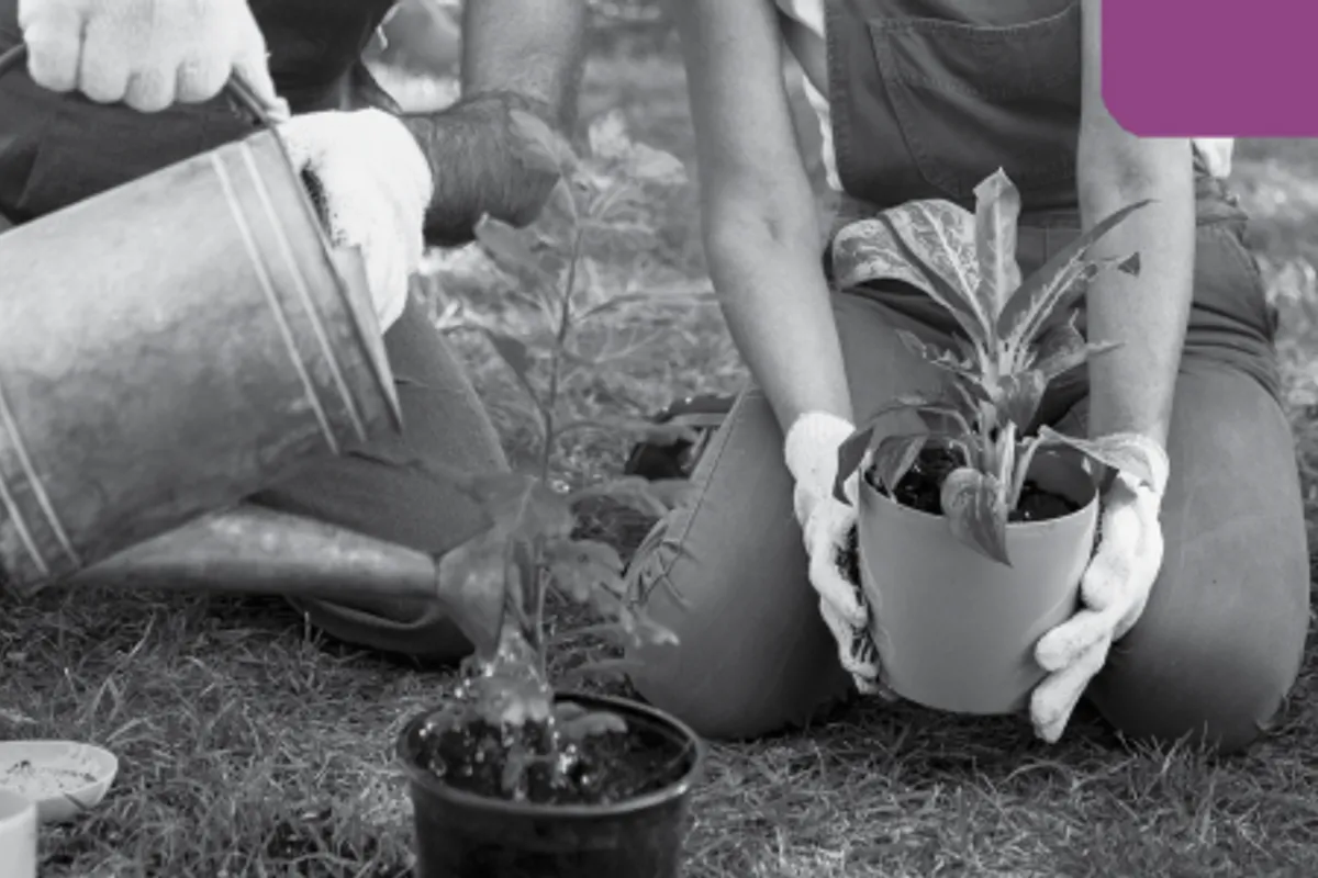 Greely Garden Club