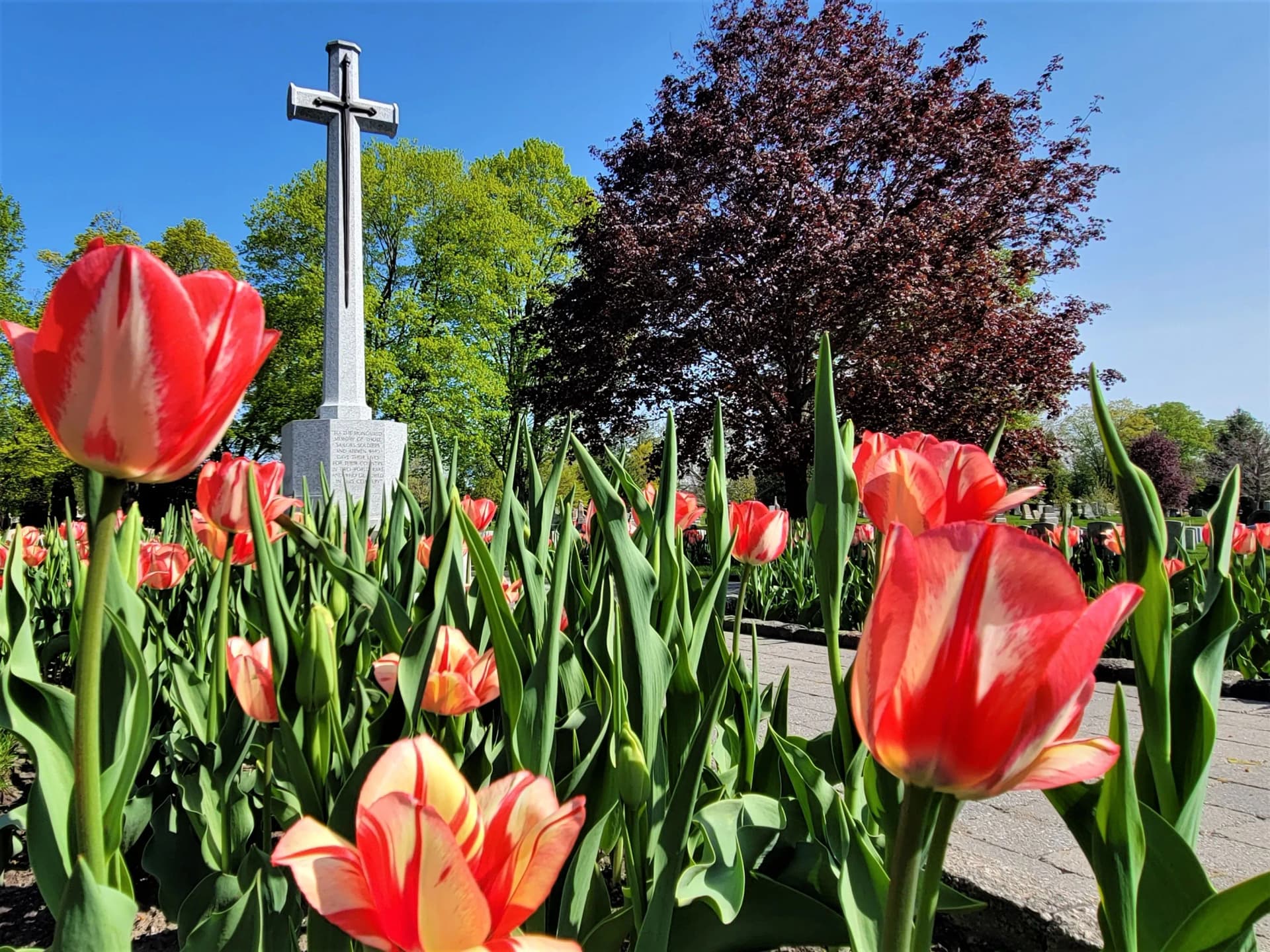 War Graves Week 2026 - Commonwealth War Graves Commission & Beechwood Cemetery Tour