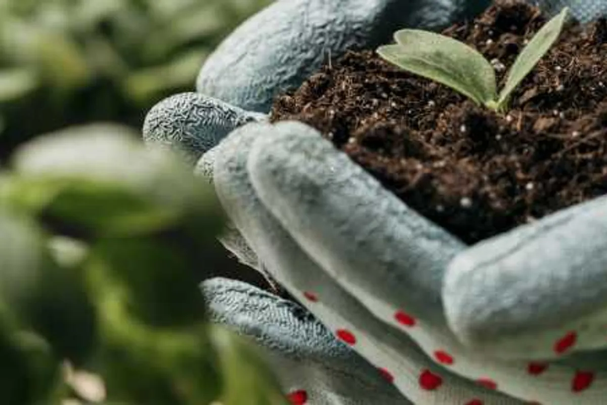 Best Gardening Practices