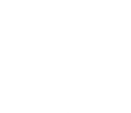 Tim Hortons Ottawa Dragon Boat Festival