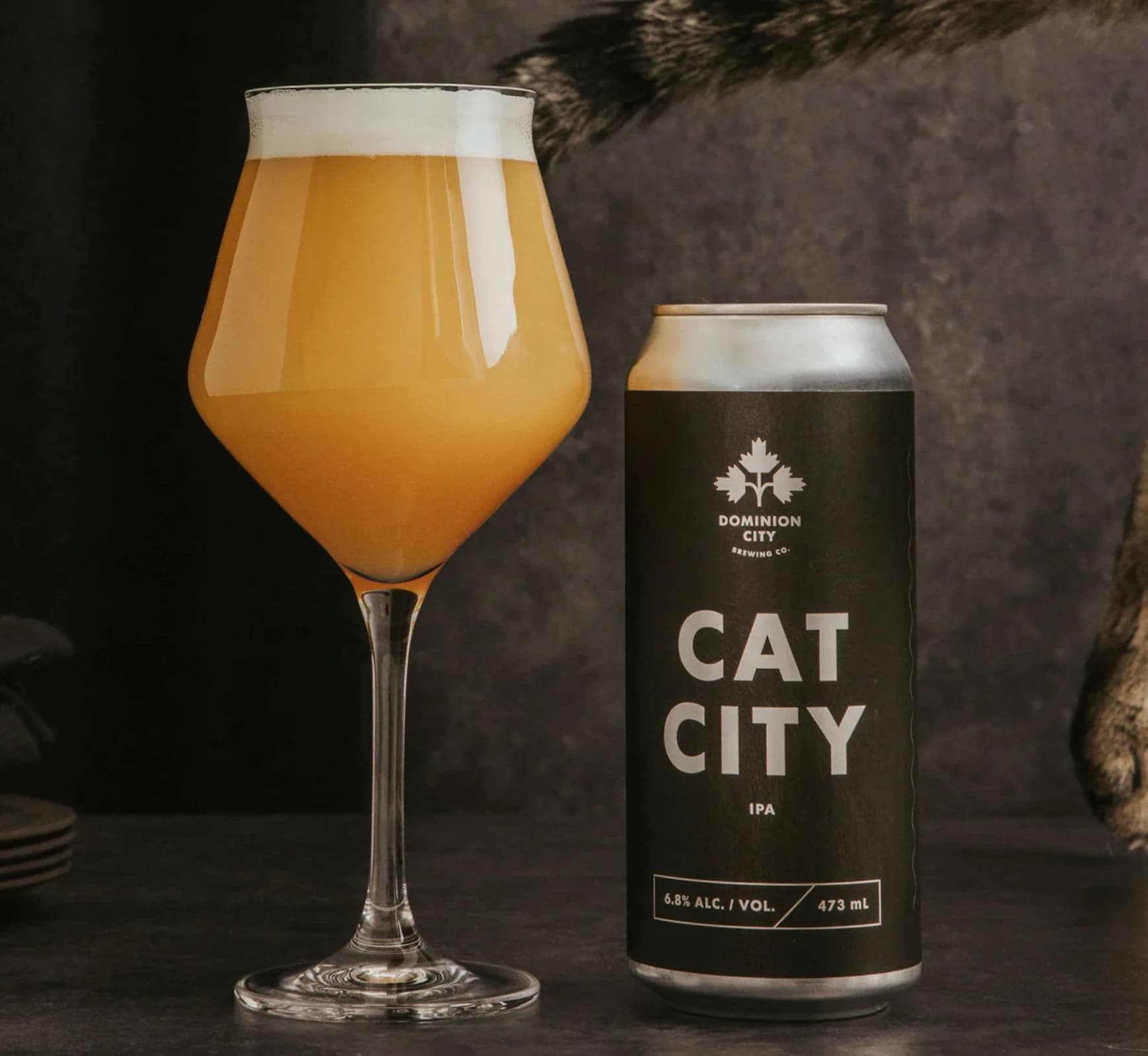 Dominion City Brewing Co.