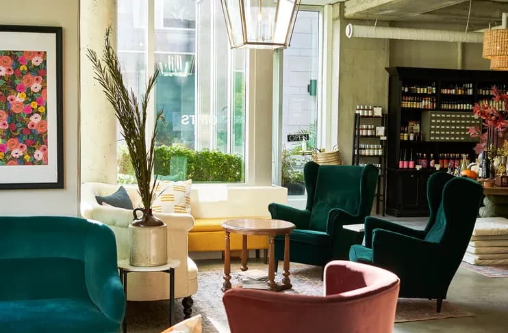 Split Tree Cocktail Co.