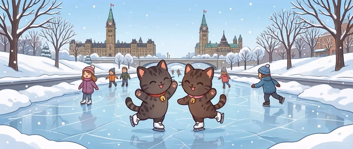 Best Skating Spots in Ottawa